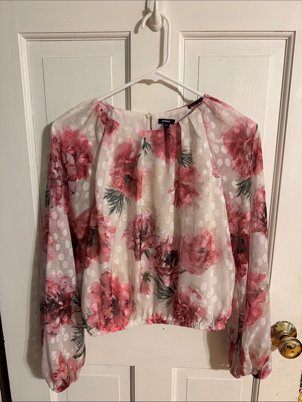 Express Sheer Ivory Blush Floral Long-Sleeve Top